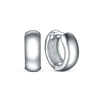 серьги (Ag 925) 11-1961, изображение 1